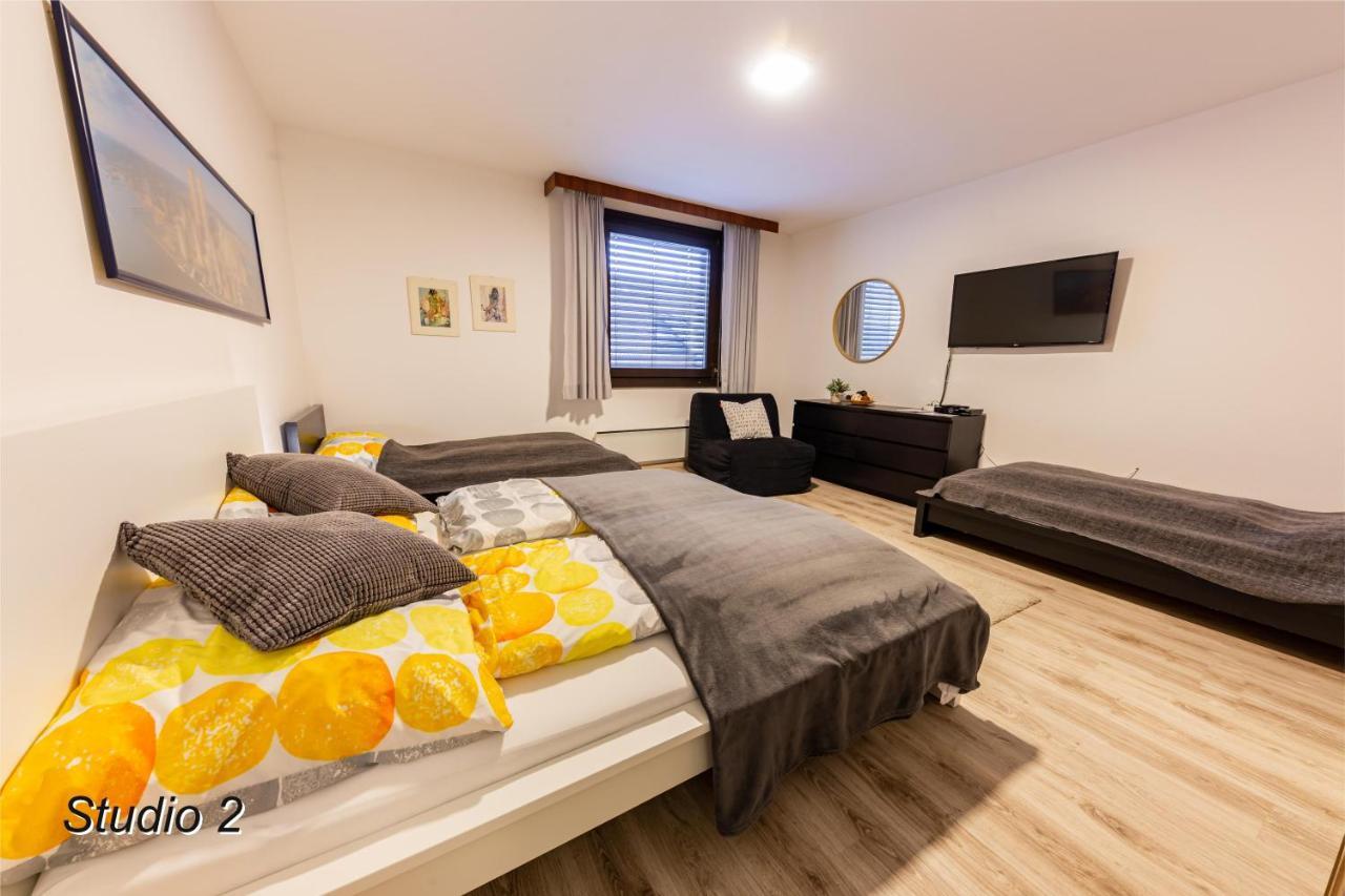 Appartement Sportwerk Гестлинг-на-Ибсе Экстерьер фото